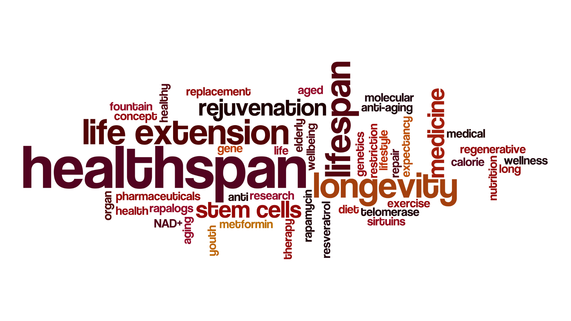 Unlocking Longevity: The Intricate Dance Between Lung Health and Life Span