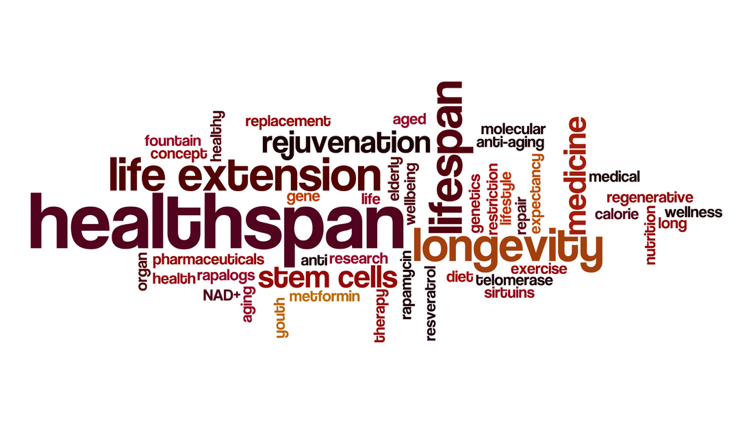 Unlocking Longevity: The Intricate Dance Between Lung Health and Life Span